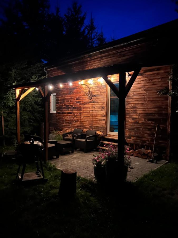 Villa Jezowka I Sudetka à Jezow Sudecki Extérieur photo