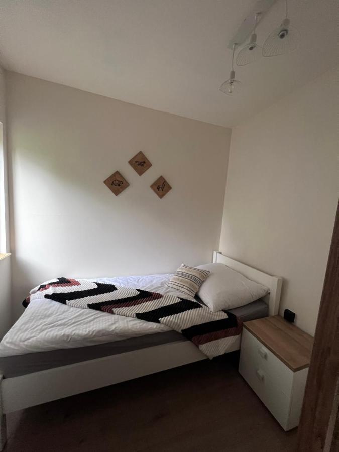 Villa Jezowka I Sudetka à Jezow Sudecki Extérieur photo